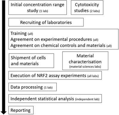 Pre-validation of a reporter gene assay for oxidative stress for the rapid screening of nanobiomaterials